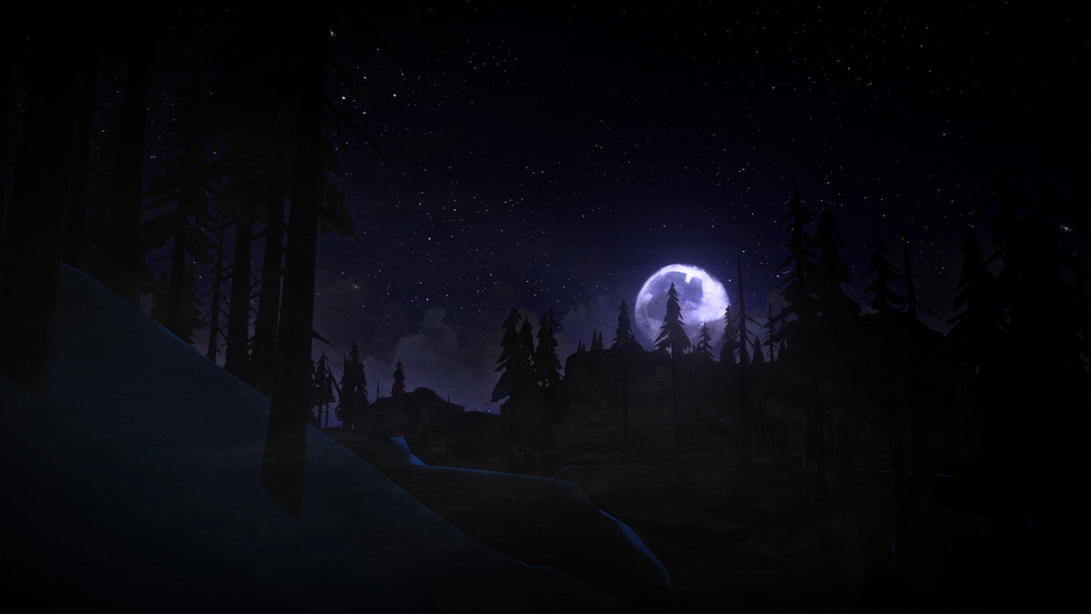 The long Dark ps4 диск