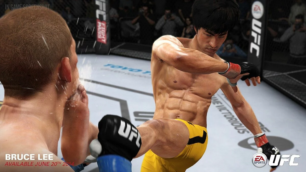 Скриншоты из EA Sports UFC / Картинка 45
