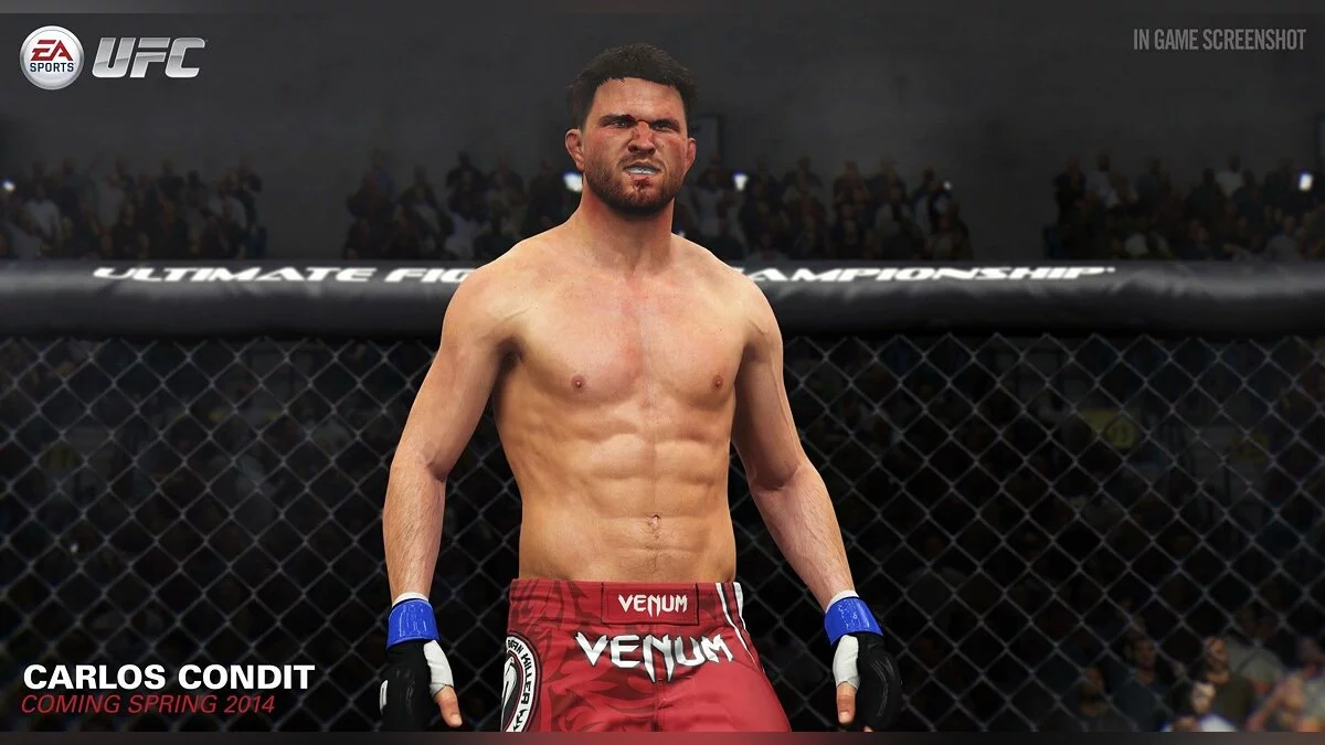 Скриншоты из EA Sports UFC / Картинка 25