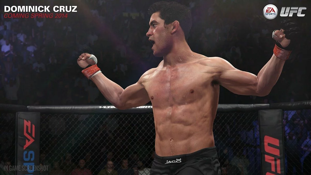 Скриншоты из EA Sports UFC / Картинка 27