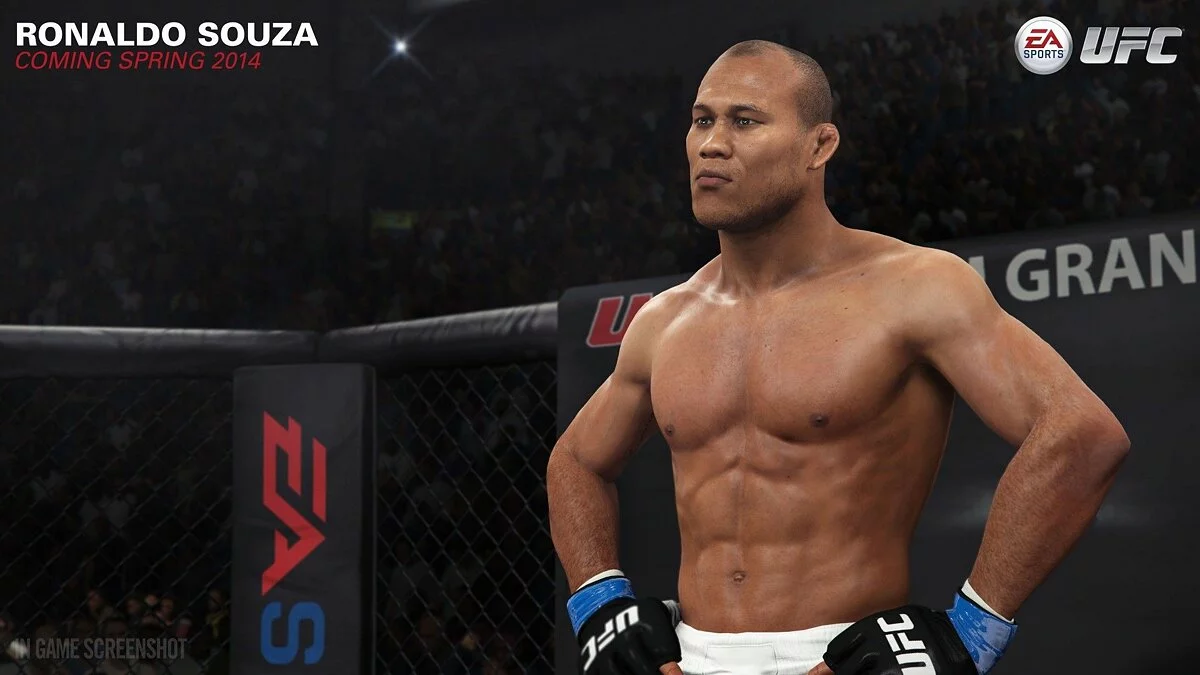 Скриншоты из EA Sports UFC / Картинка 40