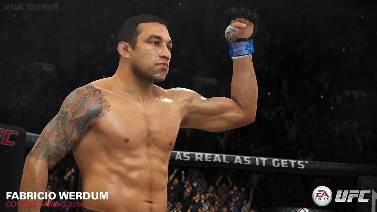 Скриншоты из EA Sports UFC / Картинка 42