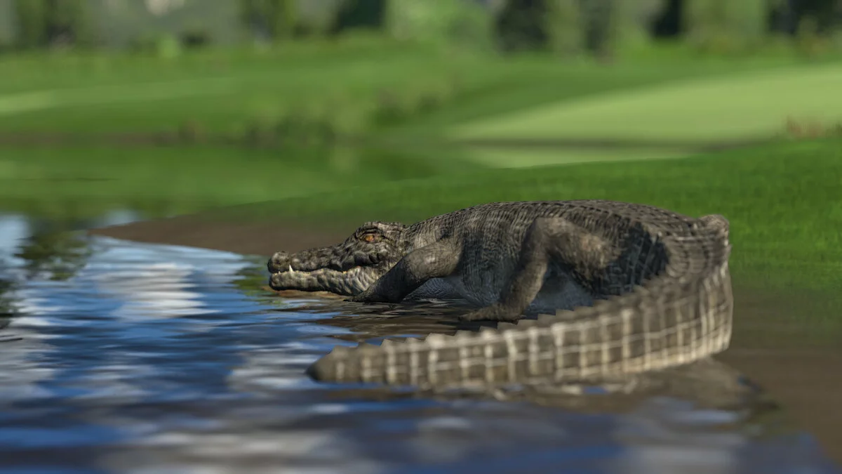 Скриншоты из Golf Club