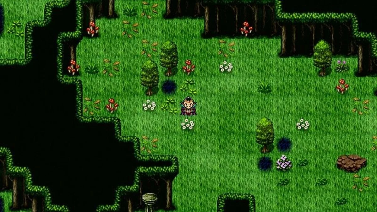 Картинка из 