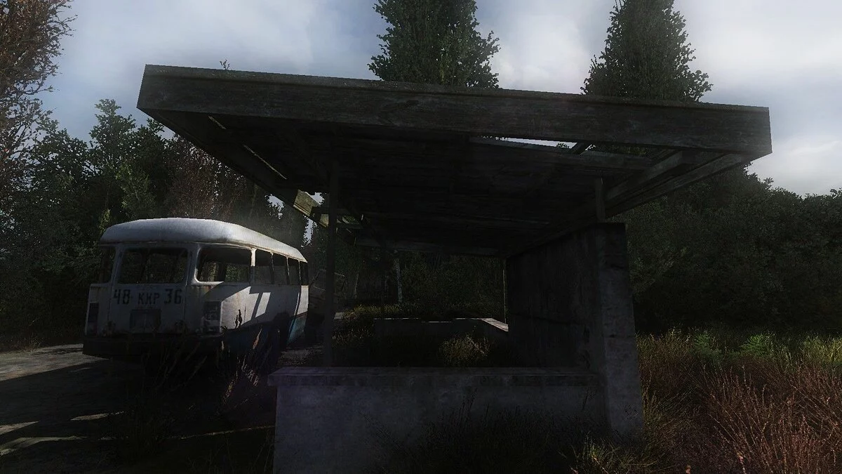 Картинка из 