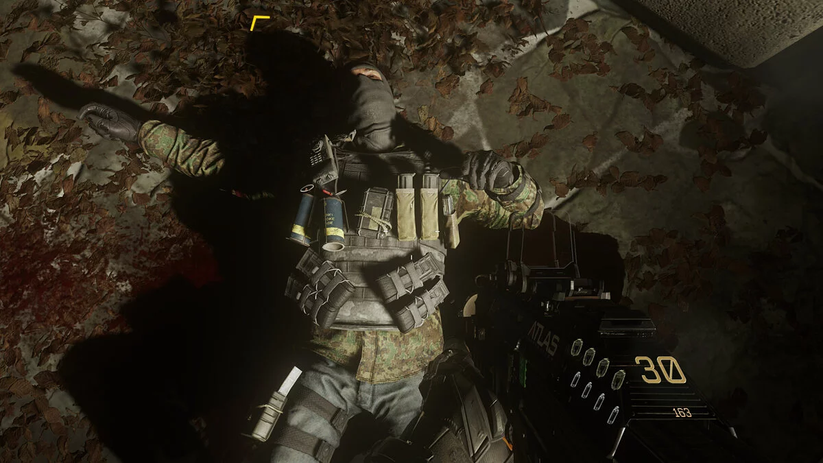 Скриншоты из Call of Duty: Advanced Warfare / Картинка 43