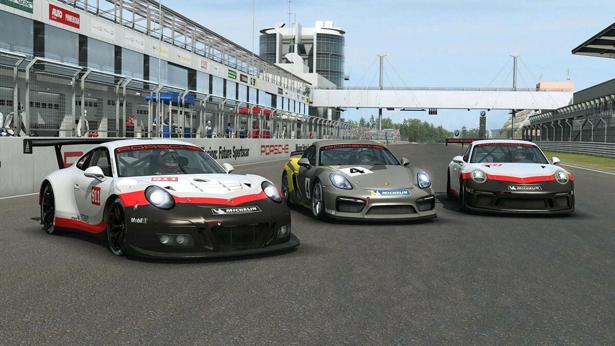 RaceRoom Racing Experience тормозит. Низкий FPS