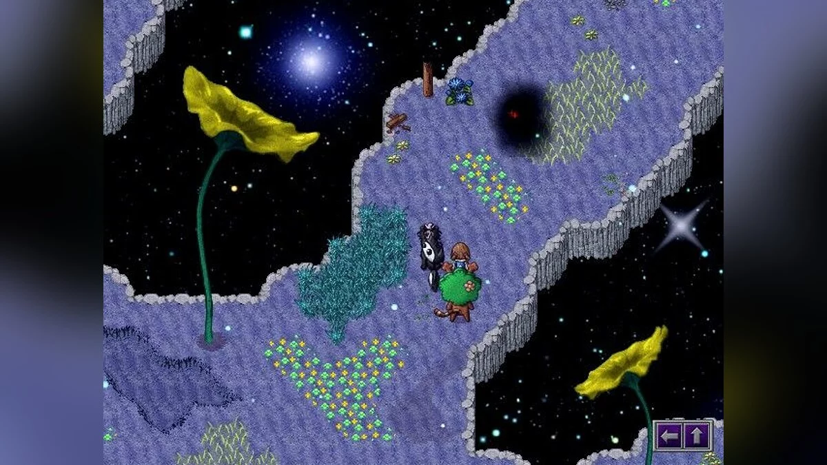 Картинка из 