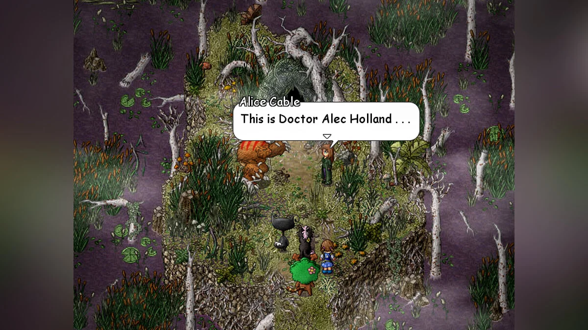 Картинка из 