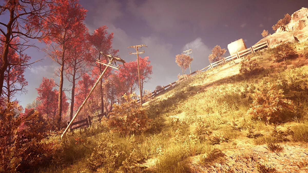 Скриншоты из Slender: The Arrival