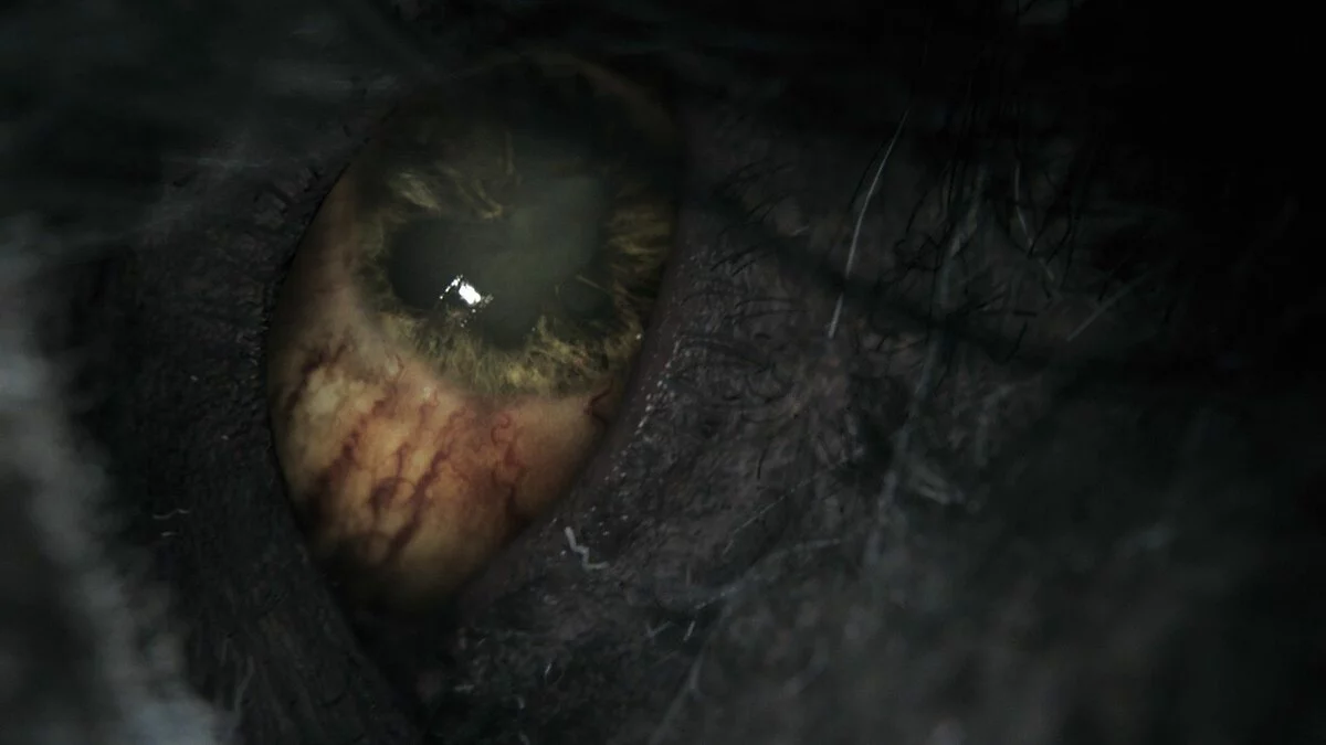 Скриншоты из Bloodborne / Картинка 10