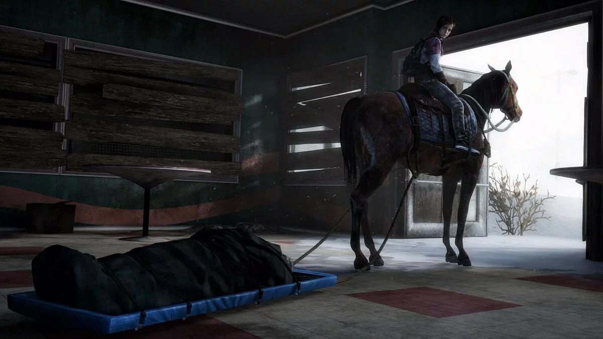 Скриншоты из Last of Us: Remastered