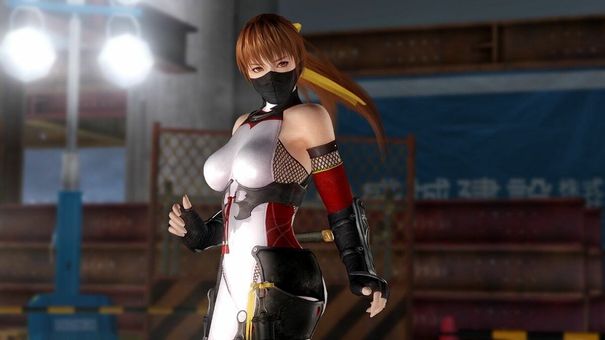 Dead or alive 5 last round стим фото 99