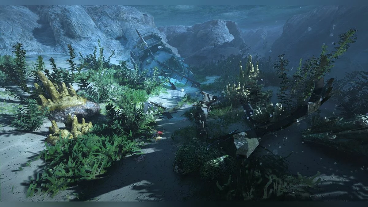 Скриншоты из Black Desert