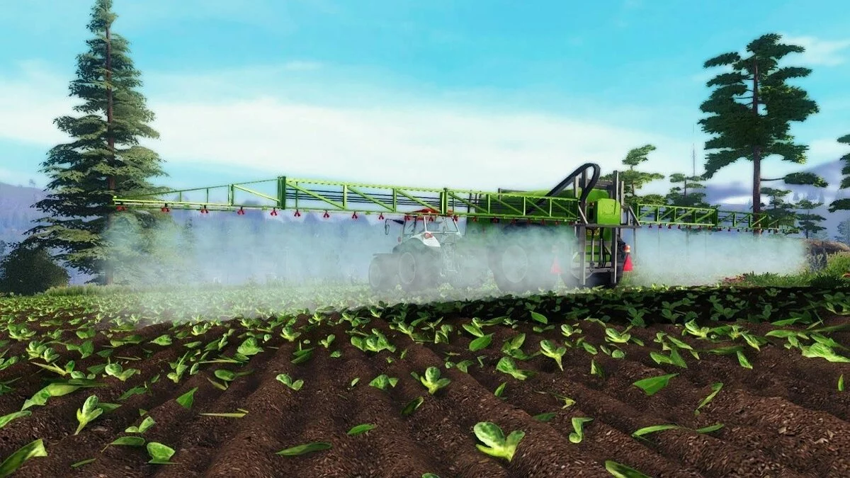 Картинка из 