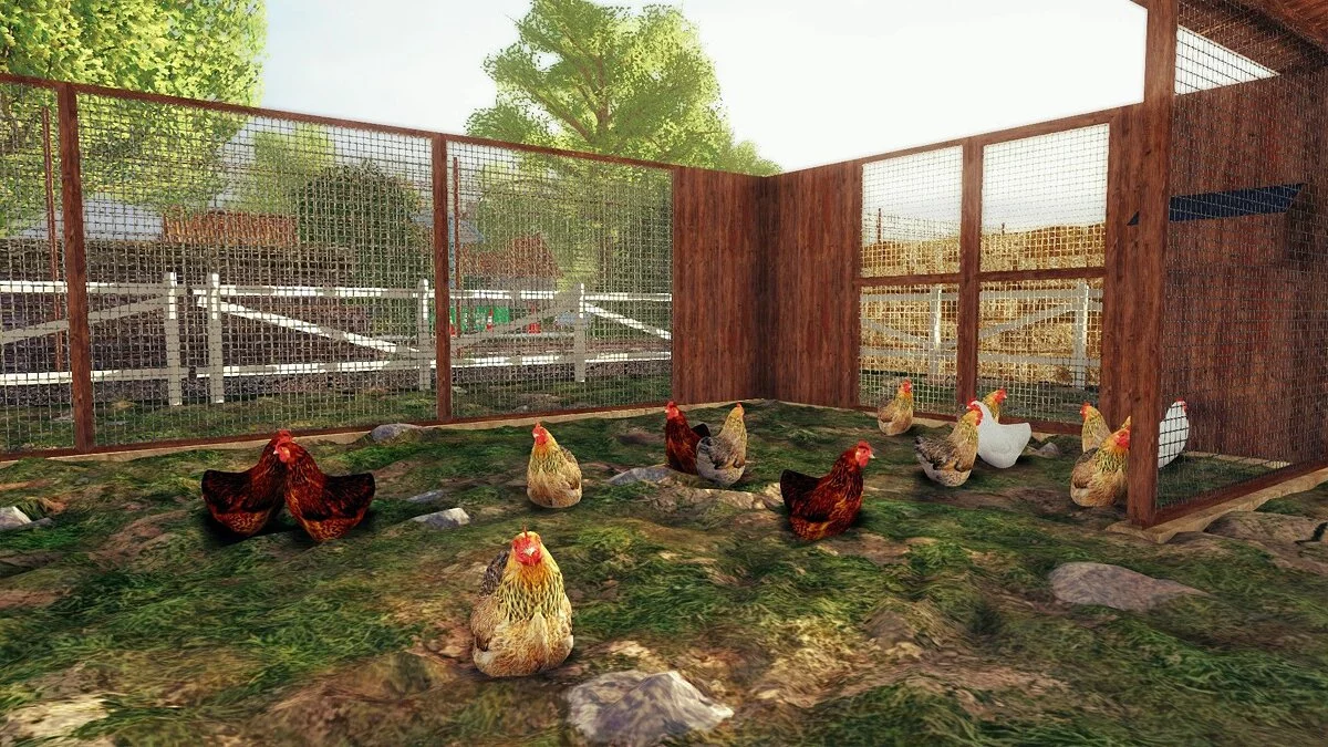 Картинка из 