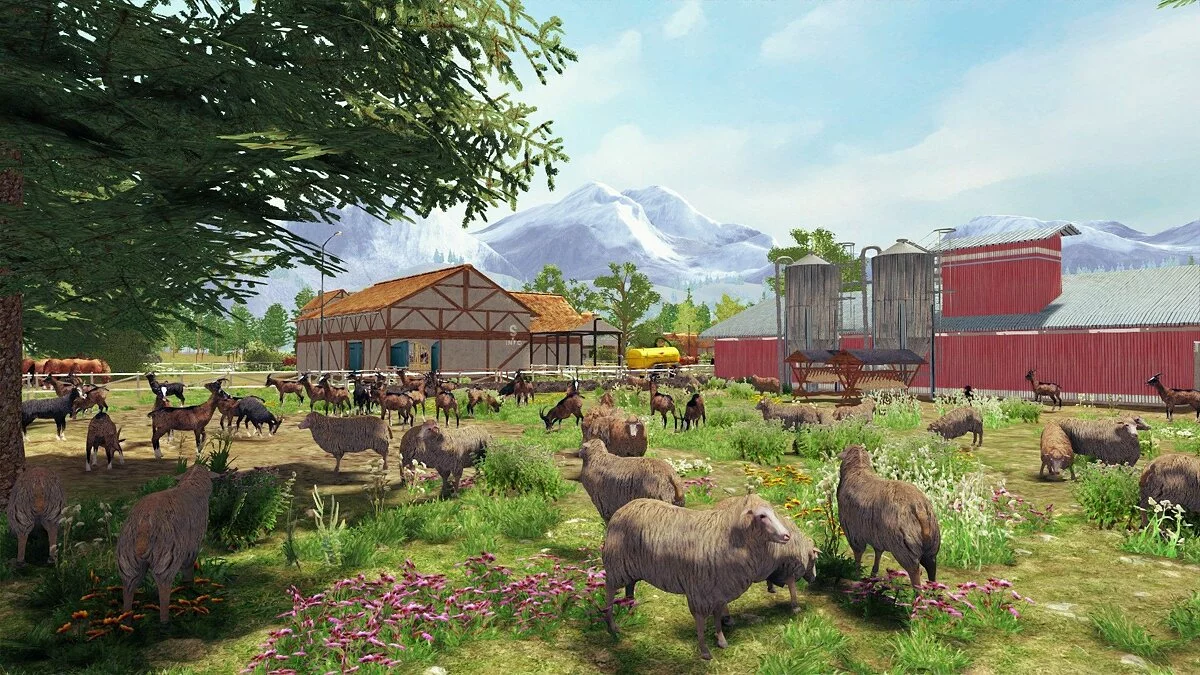 Картинка из 