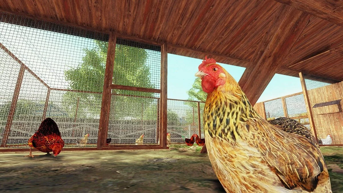 Картинка из 