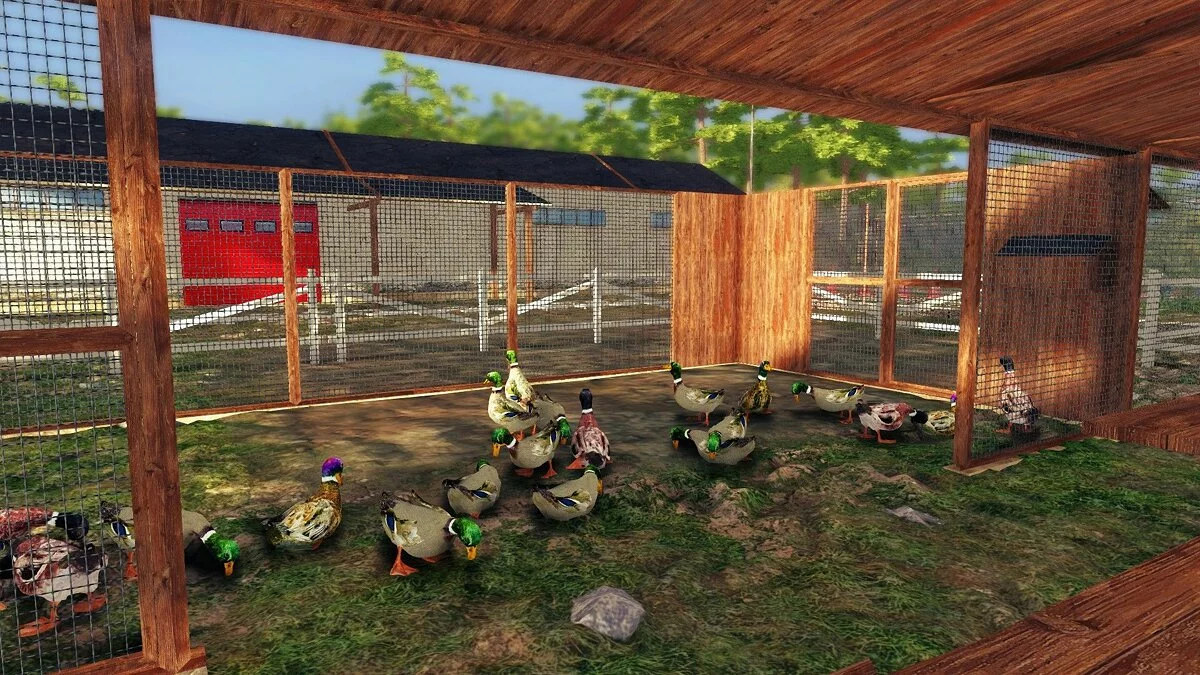 Картинка из 