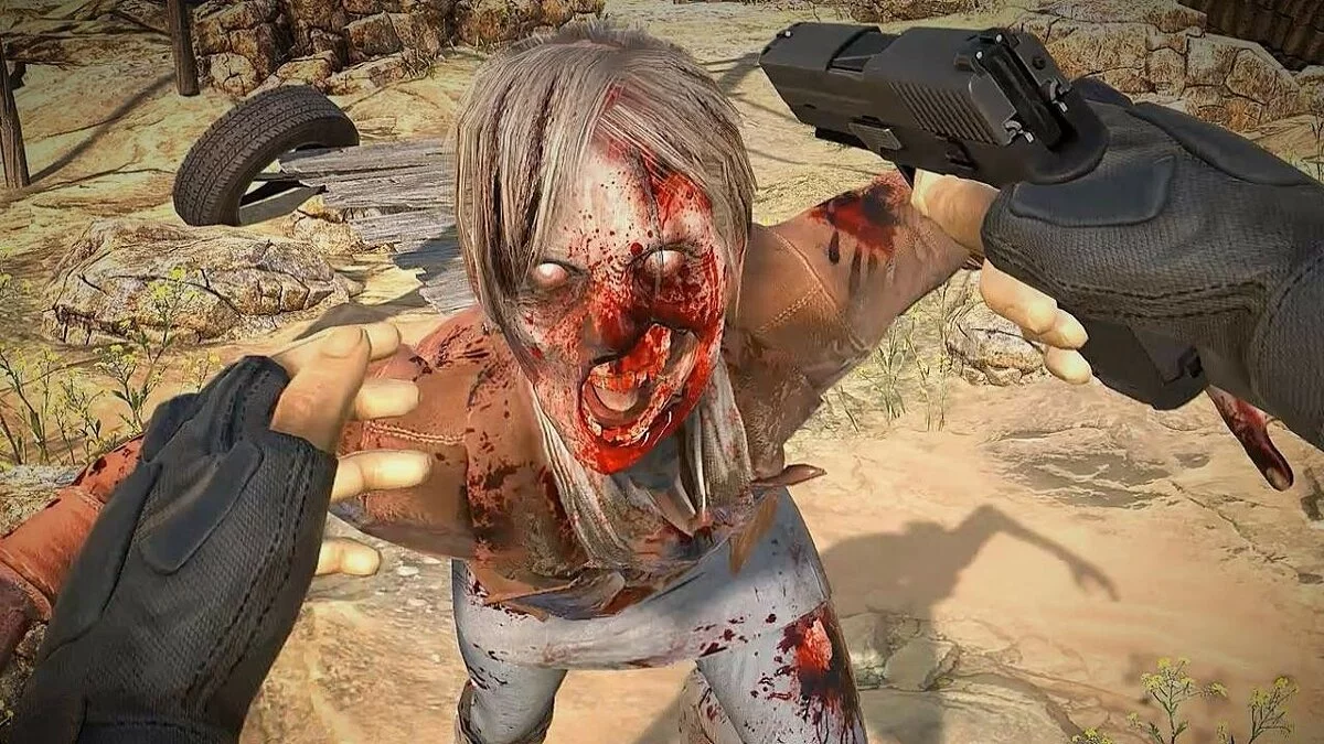 Скриншоты из Arizona Sunshine