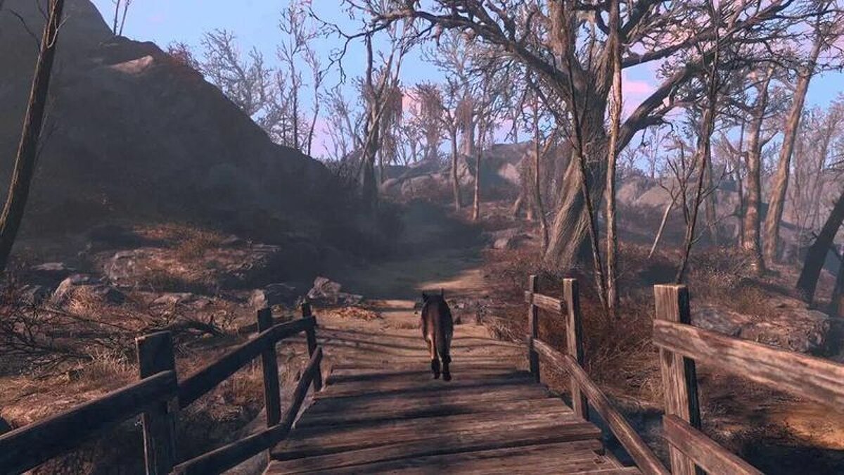 Fallout 4 wasteland edition фото 104