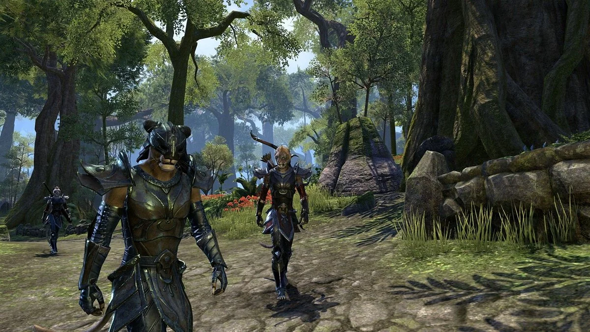 Скриншоты из The Elder Scrolls Online / Картинка 7