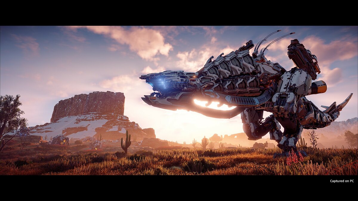 Horizon Zero Dawn: Complete Edition черный экран