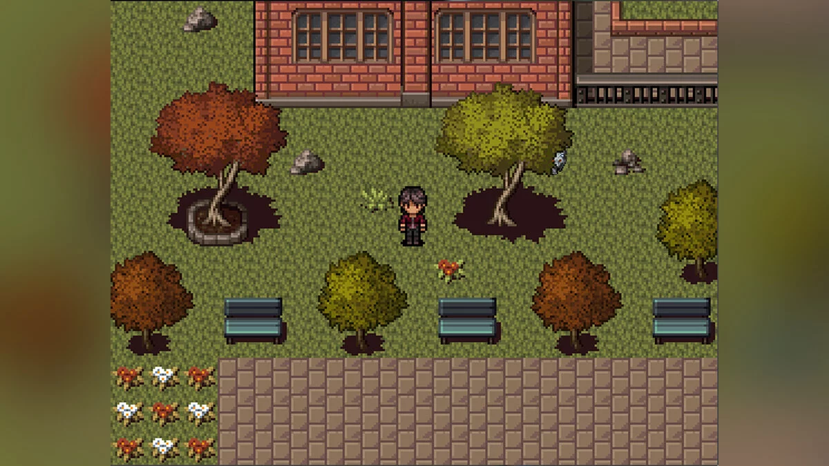 Картинка из 