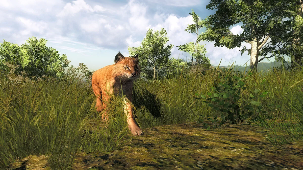 Скриншоты из Hunter 2016
