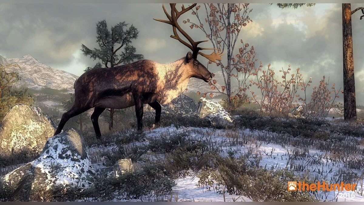 Картинка из 