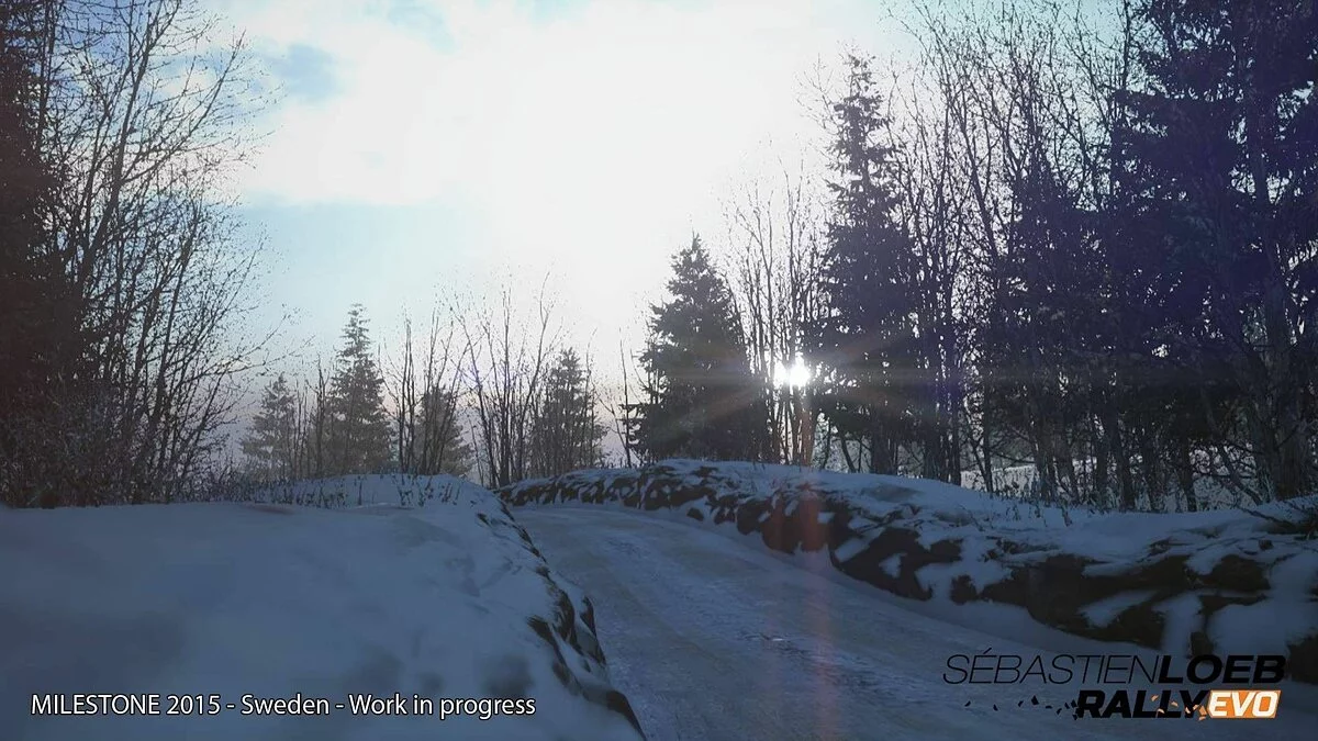 Скриншоты из Sebastian Loeb Rally Evo