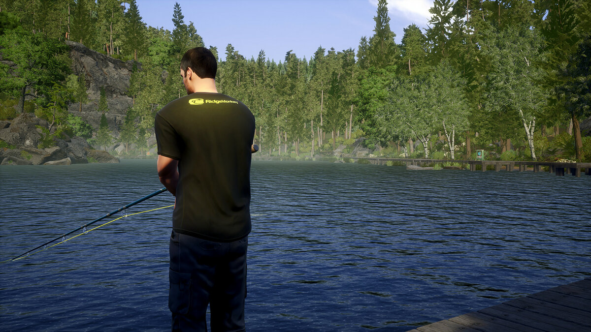 Euro Fishing. GTA 5 рыбалка картинки. Игра на ПС рыбалка на d. Euro Fishing Forest Lake view. Игра лесная рыбалка