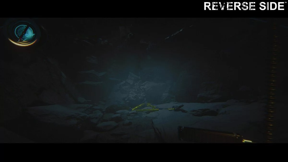 Скриншоты из Reverse Side