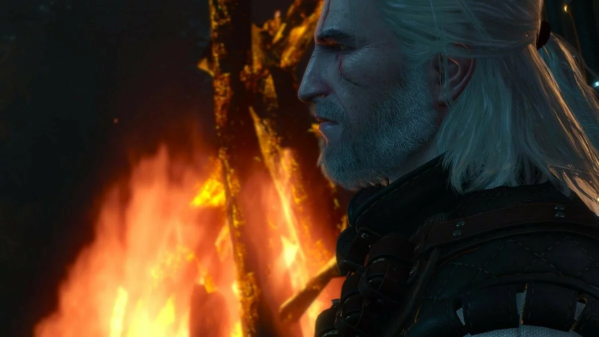 Скриншоты из The Witcher 3: Wild Hunt - Complete Edition / Картинка 32