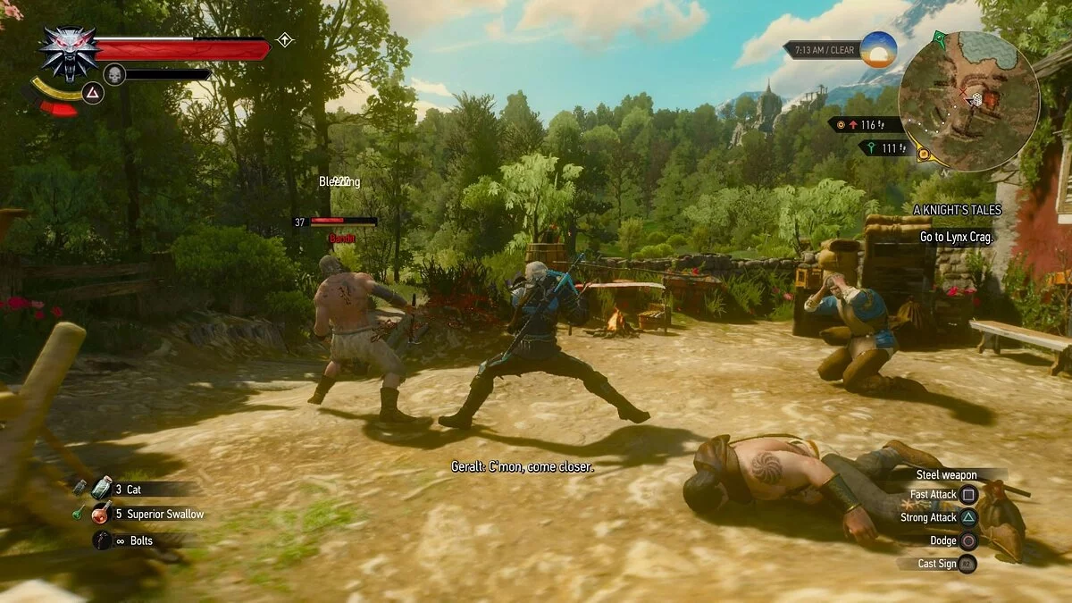 Скриншоты из The Witcher 3: Wild Hunt - Complete Edition / Картинка 84