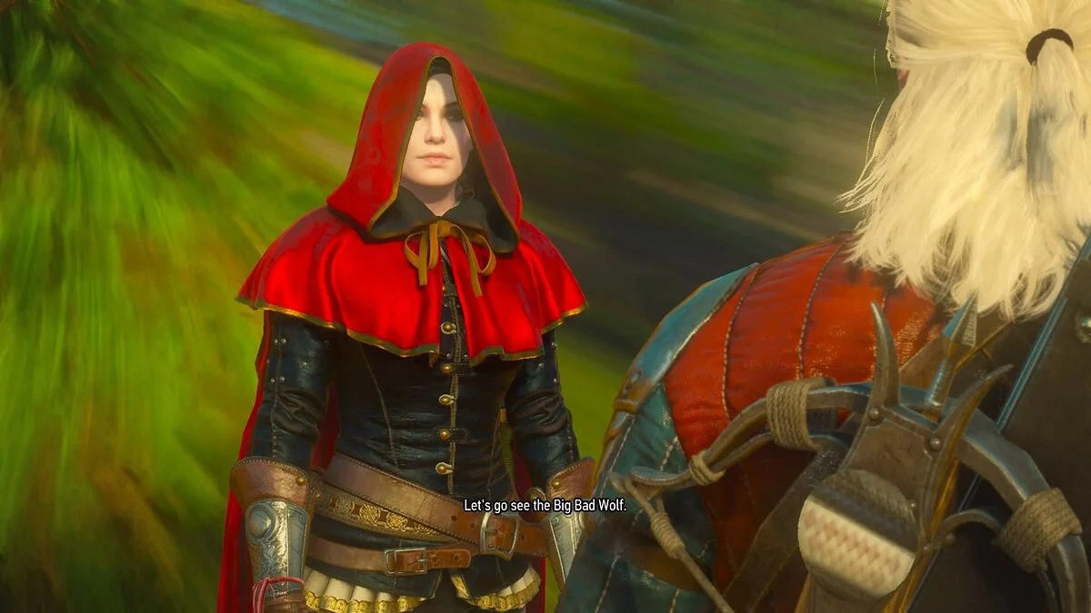 Скриншоты из The Witcher 3: Wild Hunt - Complete Edition / Картинка 98