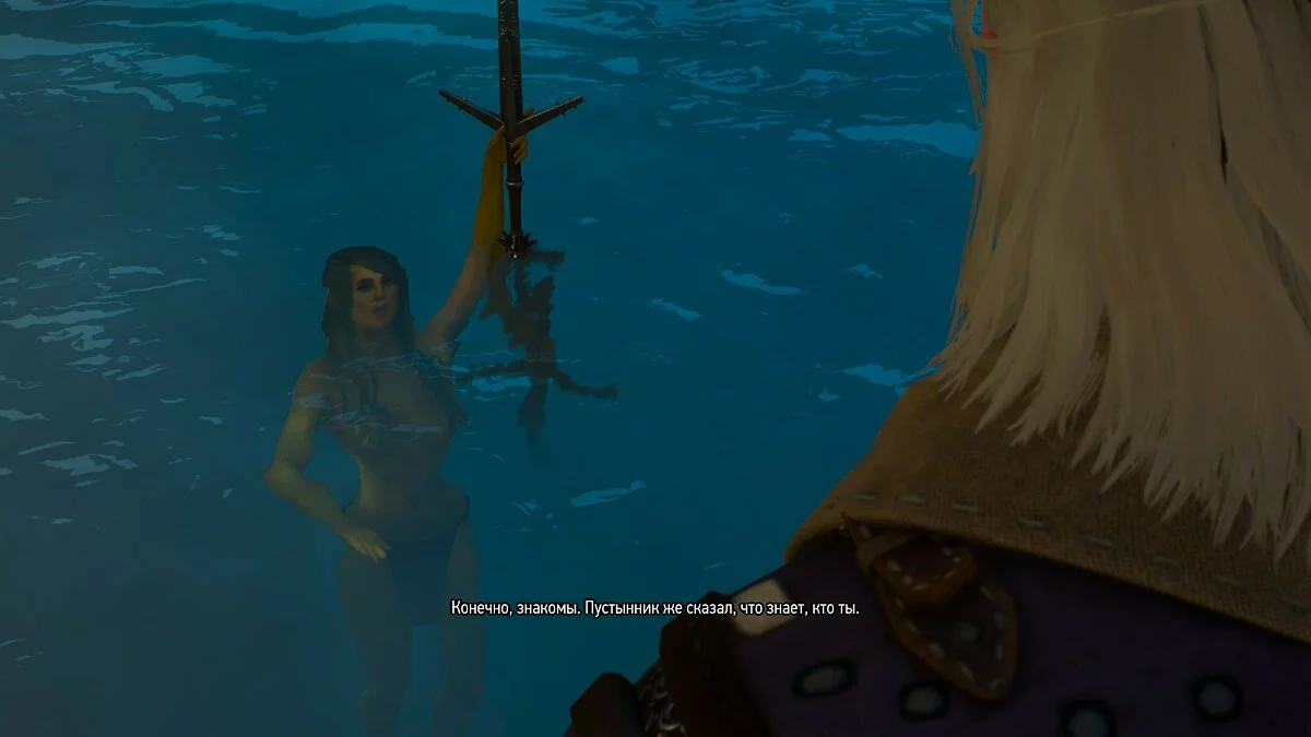 Скриншоты из The Witcher 3: Wild Hunt - Complete Edition / Картинка 128