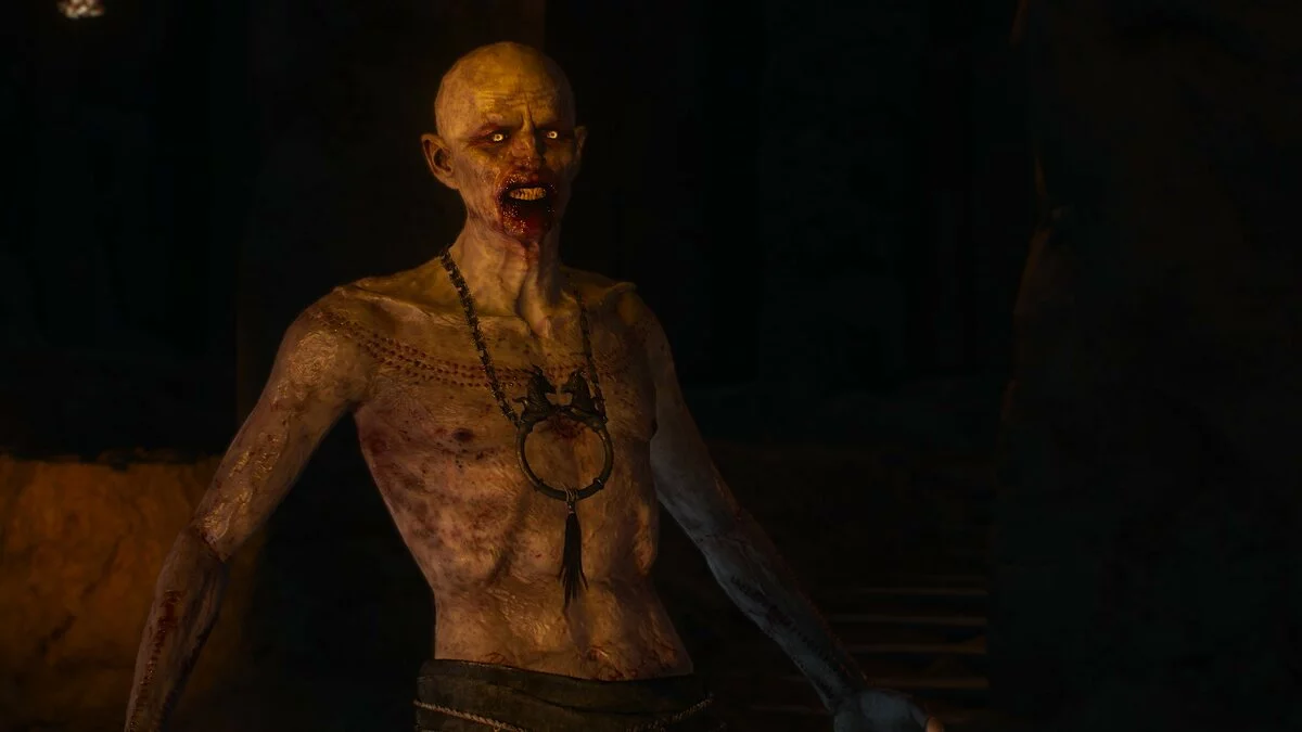 Скриншоты из The Witcher 3: Wild Hunt - Complete Edition / Картинка 140