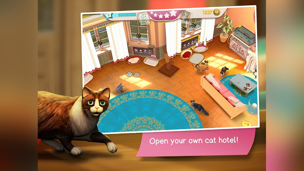 Cat Hotel - что это за игра, трейлер, системные требования, отзывы и  оценки, цены и скидки, гайды и прохождение, похожие игры CatHotel