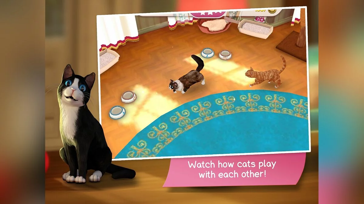 Скриншоты из Cat Hotel