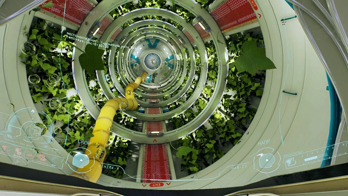 Картинка из 