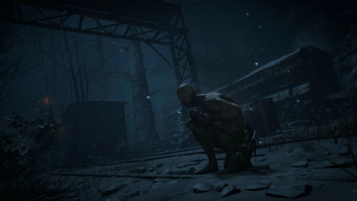 Скриншоты из Rise of the Tomb Raider / Картинка 5