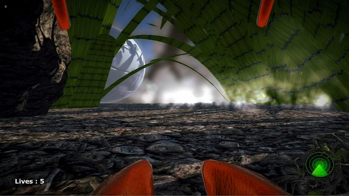 Картинка из 