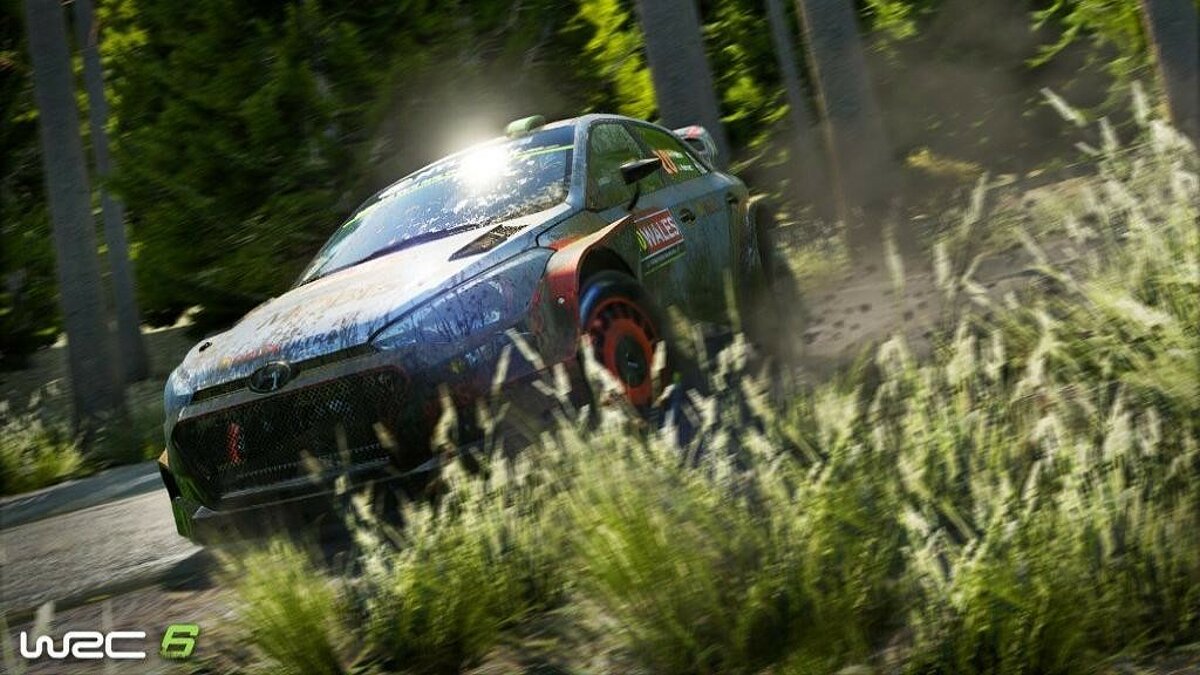 Системные требования WRC 6