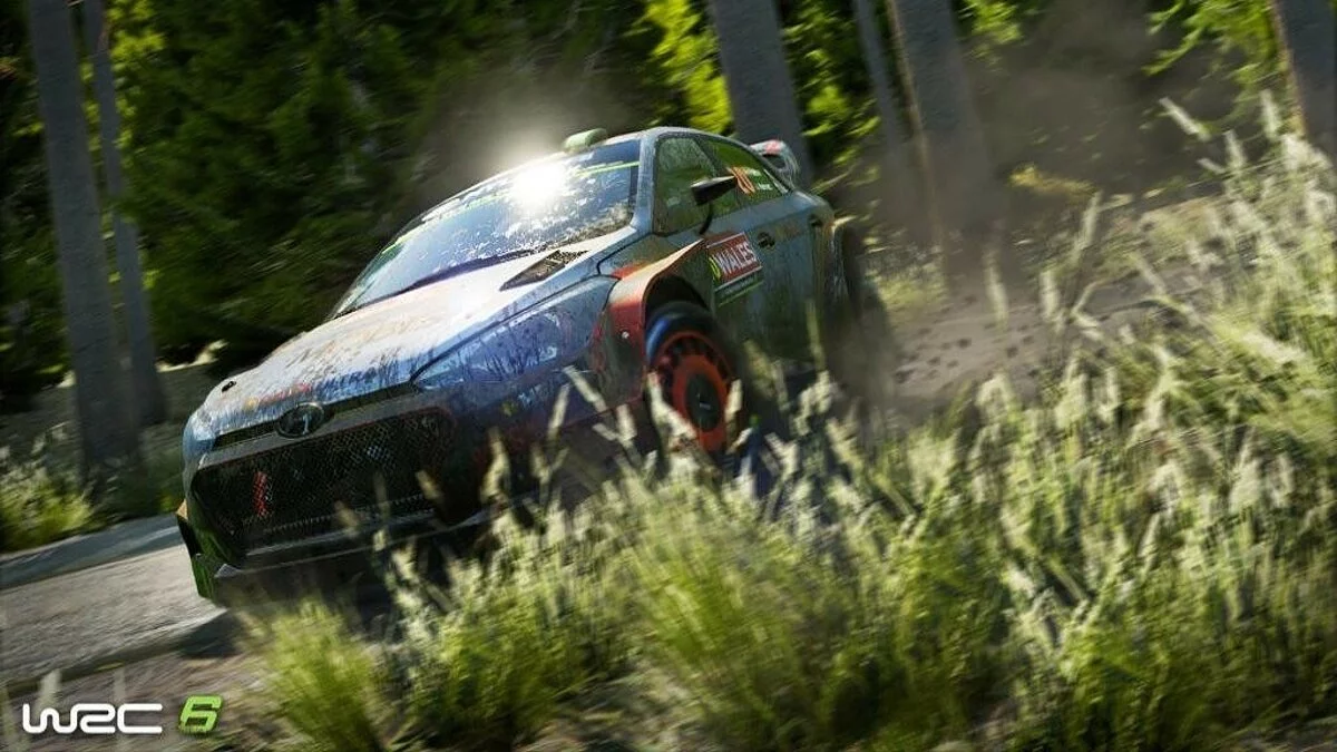 Скриншоты из WRC 6