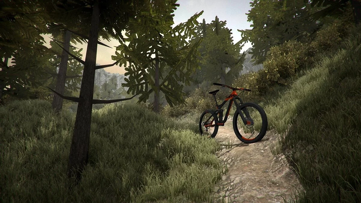 Скриншоты из MTB Downhill Simulator