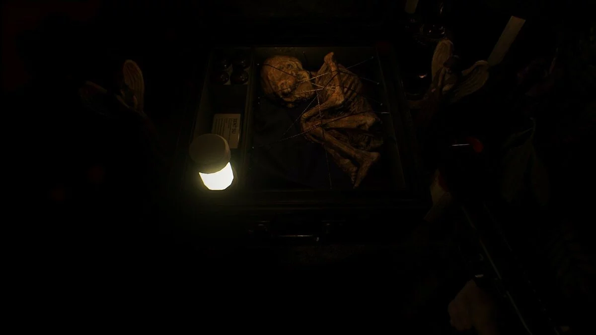 Скриншоты из Resident Evil 7 Biohazard / Картинка 413