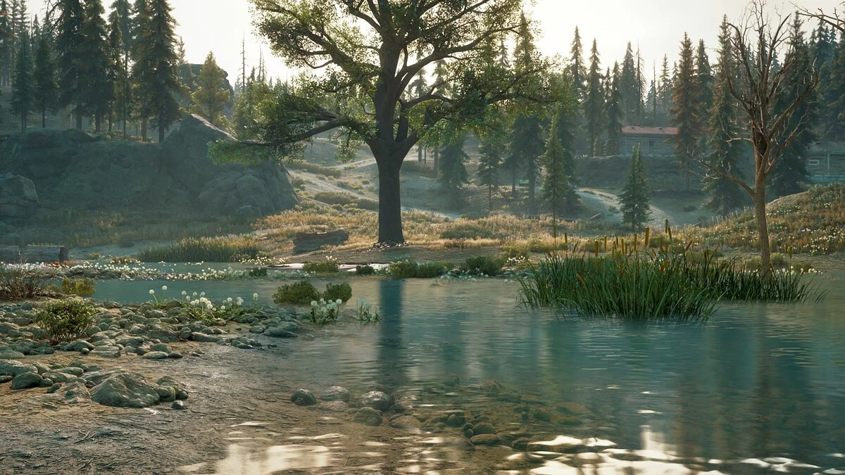 Скриншоты из Days Gone