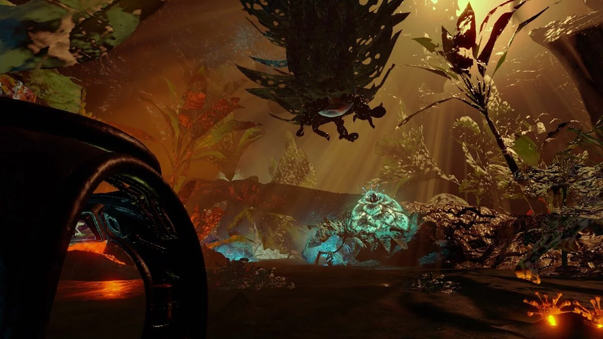 Картинка из 