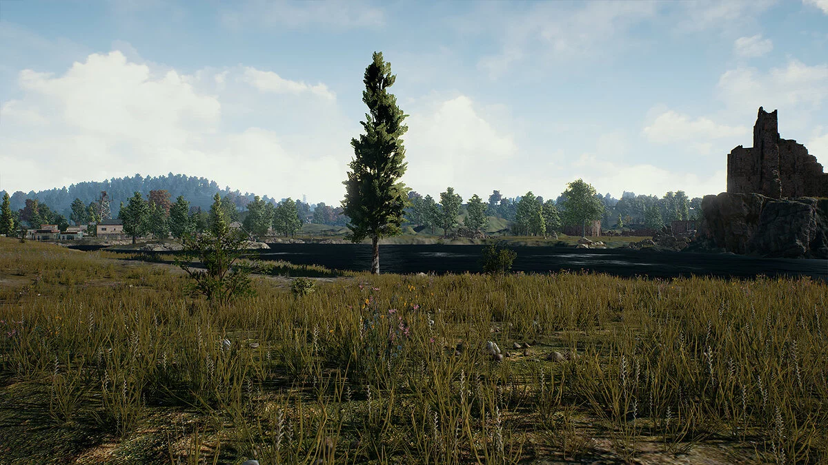 Скриншоты из PUBG: Battlegrounds / Картинка 12